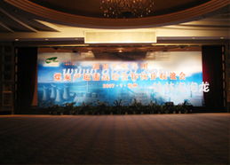 桂林泡泡龙庆典礼仪 专业会场布置与节庆装饰服务